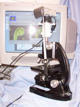 Microscope with camera