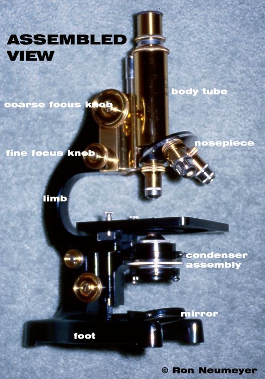 Introduction to the optical microscope - explored in diagrams and text