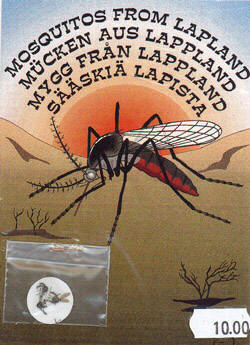 North Cape Mosquitos 02.jpg (39857 bytes)