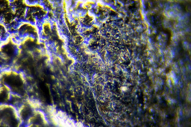 http://www.microscopy-uk.org.uk/mag/imgaug08/rome40xdk.jpg