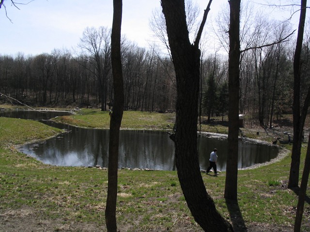 Monastery Pond