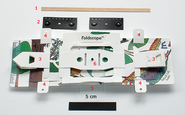 Foldscope Paper Slides (30 slides).