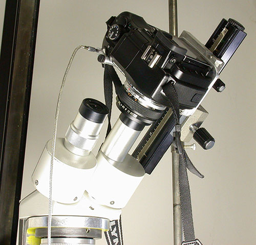 Mic-UK: Using an Olympus E-330 DSLR with a Binocular Stereomicroscope