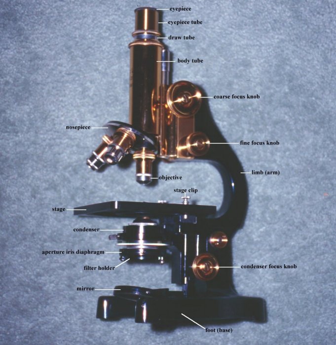 microscope diaphragm iris