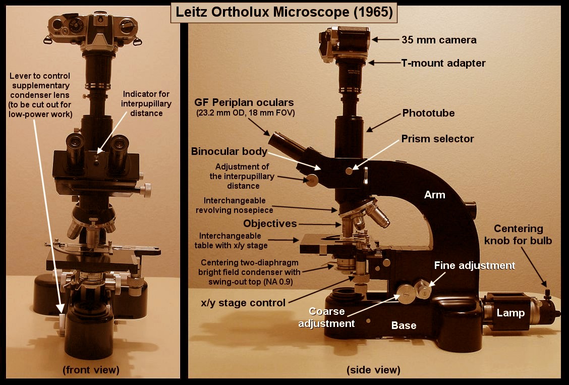 Mic-UK: Light Microscopy and