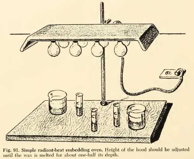 Gray's stove