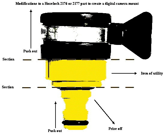 Images/06Hozelockcut.gif