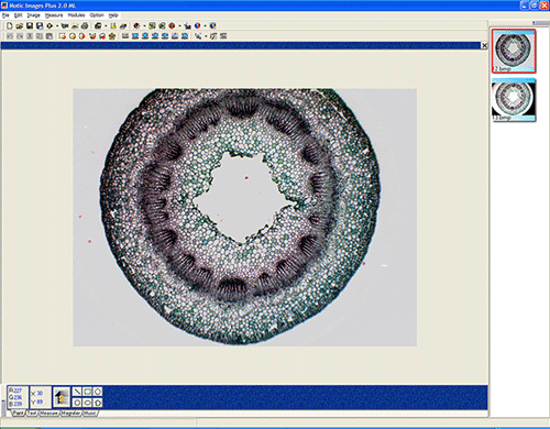 Nemoceph Nx 2004 No Cd Full Version tested 1