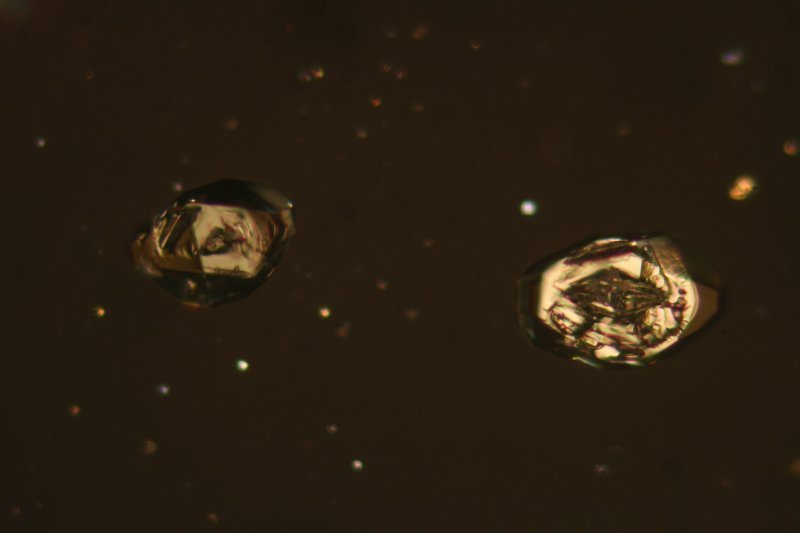 rhombic sulphur crystals, 30 hours later