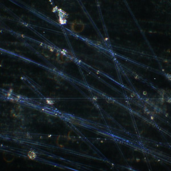 glass fibres in oil