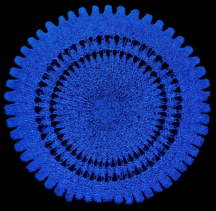 Echinus spine, sea urchin.
