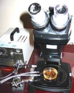 Dissecting Microscope