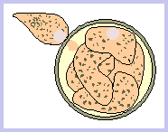 1st <em>Colpoda</em> & cyst