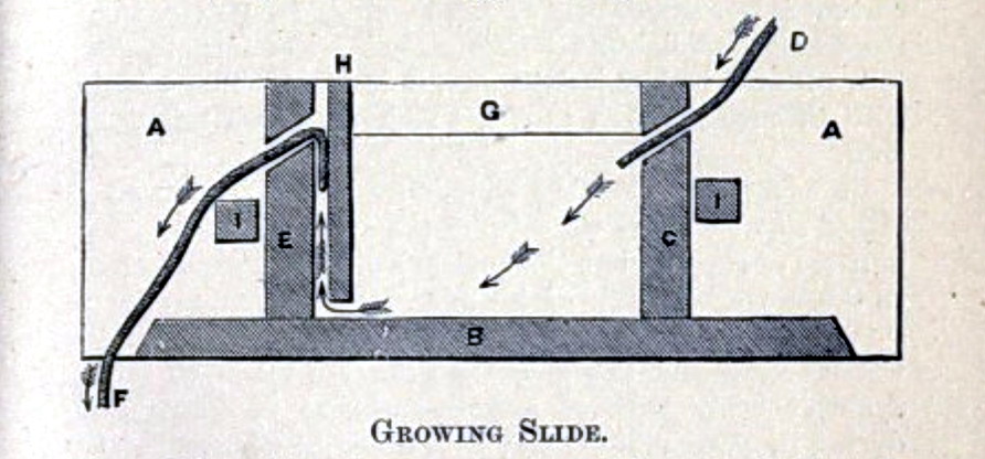 Growing cell