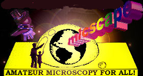 Micscape logo